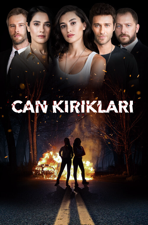 Осколки души - постер сериала